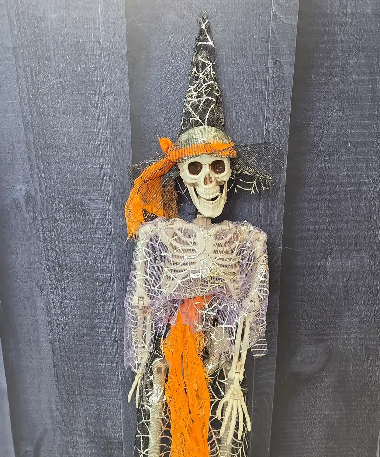 Skeleton Witch – Wicked Bones