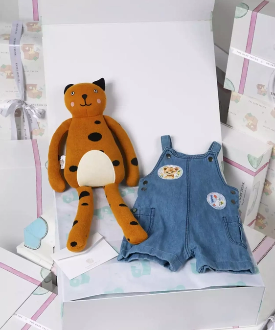 Baby Boy Summer Holiday Gift Box Set of 2
