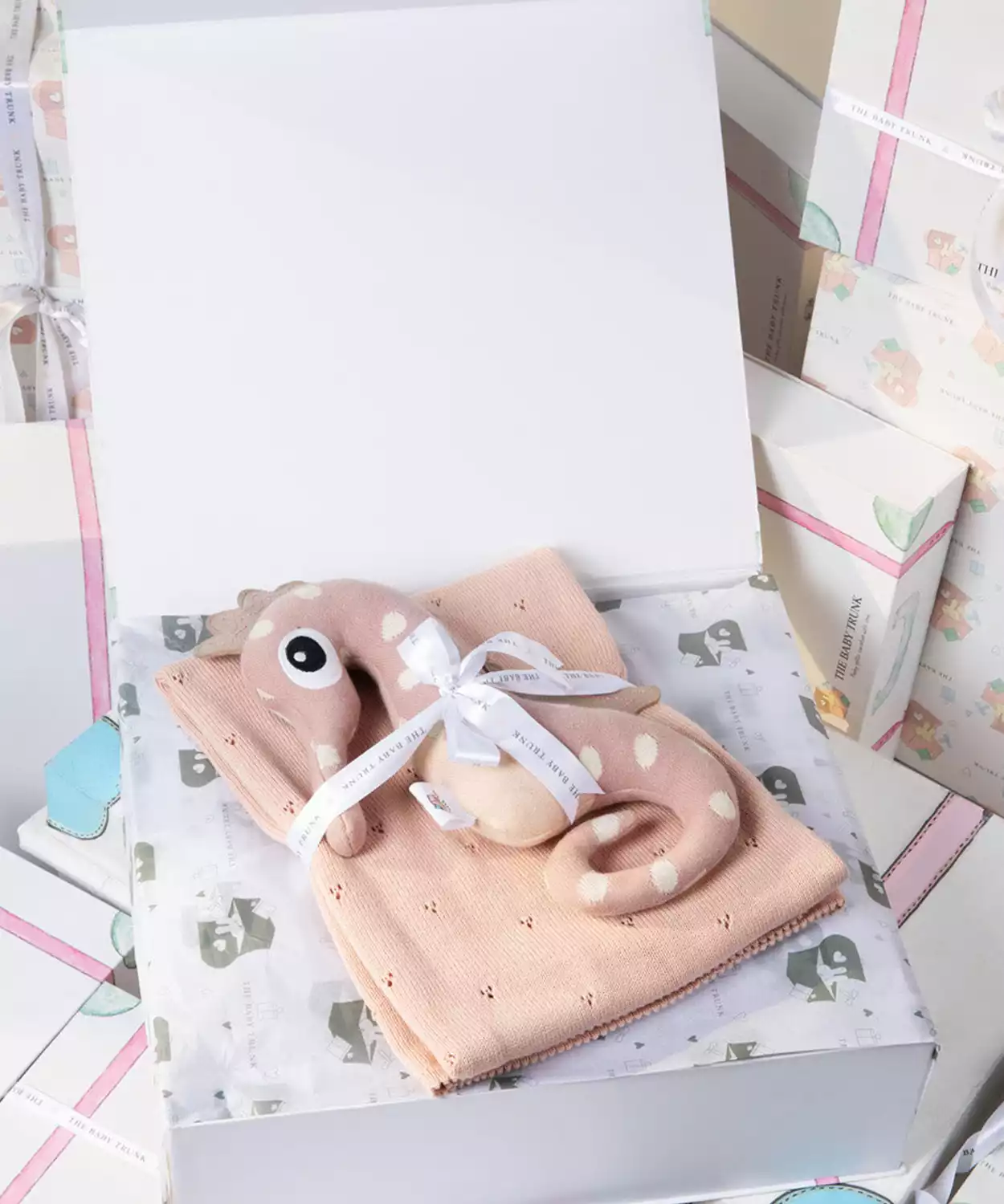 Infant Baby Blush Plush Blanket & Buddy Gift Box Set (Pack of 2)